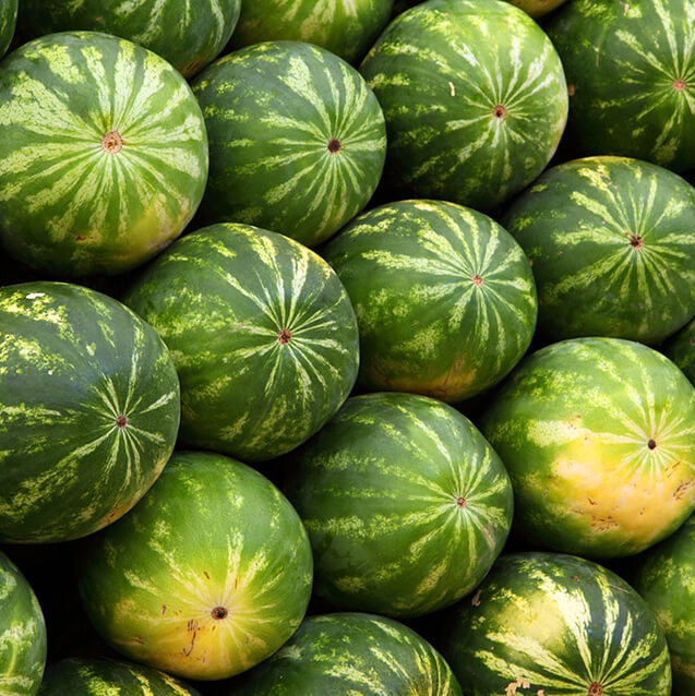 Fruits & légumes